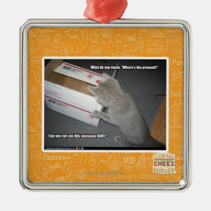 Ornement Carré Argenté Boîte impressionnante