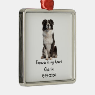 Ornement Carré Argenté Bordure Collie Chien Photo Memorial Keepsaké