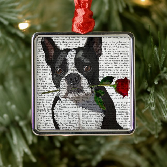 Ornement Carré Argenté Boston Terrier avec Rose dans la bouche (Arbre)