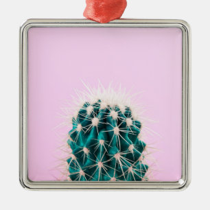 Ornement Carré Argenté Cactus de Prickley sur le rose