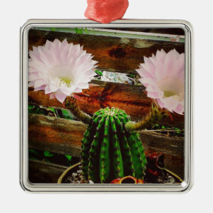 Ornement Carré Argenté Cactus en fleurs #succulent