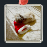 Ornement Carré Argenté Captured Santa<br><div class="desc">Oups ! Fais que Père Noël Casquette ! Eh bien, il a failli "l'avoir" ! Personnalisez ce design Pekingese avec notre outil de texte, ajoutez des couleurs arrière - plans facilement, faites-le vous-même ! Venez visiter notre Maggie Ross Pekingese Shop pour voir de nombreux designs saisonniers créés à partir de mon...</div>