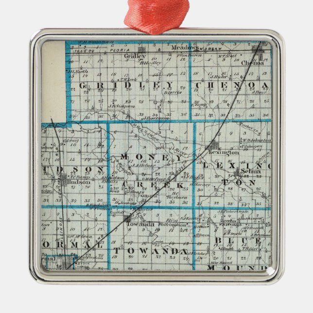 Ornement Carré Argenté Carte du compté de McLean et de Le Roy (Devant)