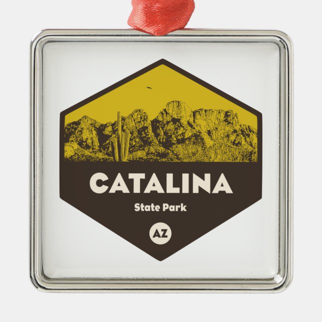 Ornement Carré Argenté Catalina State Park, Arizona (Devant)