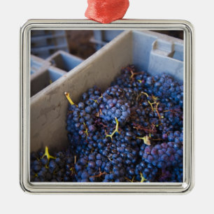 Ornement Carré Argenté Cave Bodega Marques de Riscal, raisins