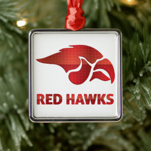 Ornement Carré Argenté Cedar Springs Red Hawks #5