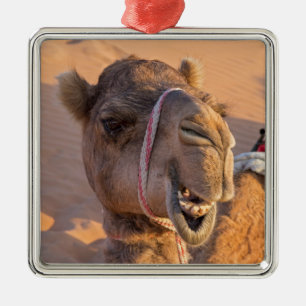 Ornement Carré Argenté Chameau avec une expression faciale drôle - Oman