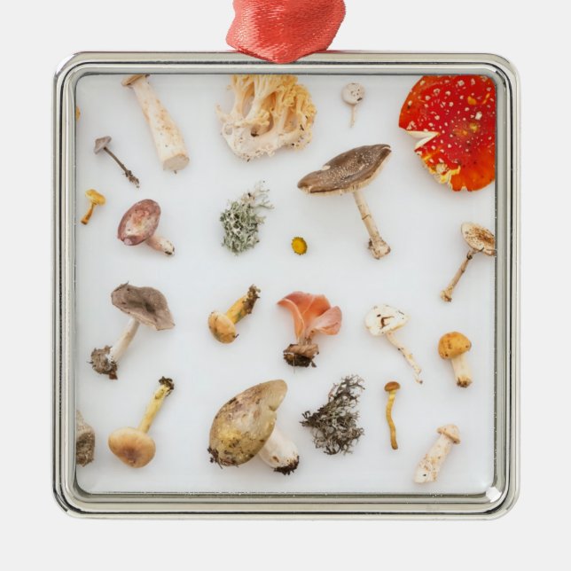 Ornement Carré Argenté Champignons (Devant)