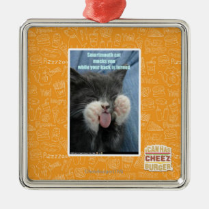 Ornement Carré Argenté Chat de Smartmouth