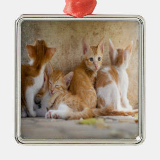 Ornement Carré Argenté Chaton tigré orange et blanc/Ajoutez la photo de v