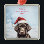 Ornement Carré Argenté Cher Allemand Shorthair Chien Santa Hat Crayon Art<br><div class="desc">Élevez votre décor de vacances avec notre adorable Chien Chien Chien Cot Allemand dans un crayon Rouge Santa Hat Art Noël Ornement Personnalisé. Ce charmant ornement est orné d'un adorable chiot allemand Shorthair, orné d'un chapeau de Père Noël rouge et festif, dans un style délicat de crayon, ajoutant une touche...</div>