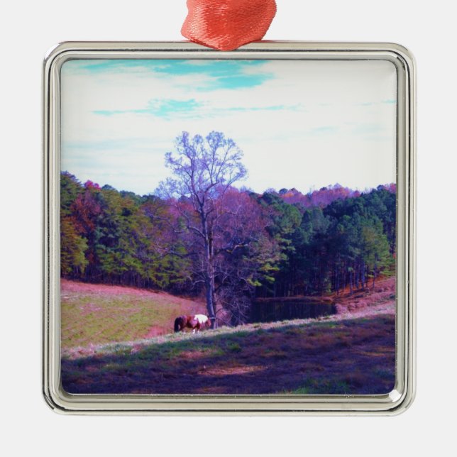 Ornement Carré Argenté Cheval éloigné dans un champ violet (Devant)