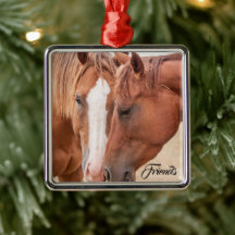 Chevaux étourdissant dans un pâturage