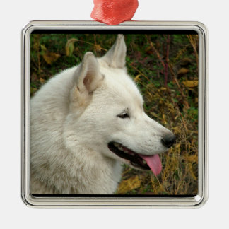 Ornement Carré Argenté Chien de Malamute d'Alaska