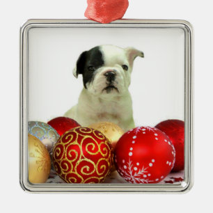Ornement Carré Argenté Chien de Noël
