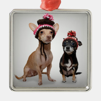Ornement Carré Argenté Chiens de chiwawa avec la photo de casquettes