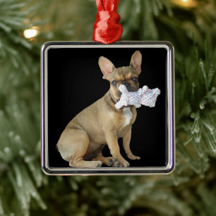 Ornement Carré Argenté chiot bouledogue français Bouledogue Français
