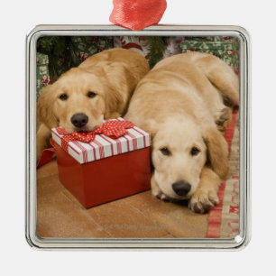 Ornement Carré Argenté Chiots de golden retriever avec le cadeau de Noël