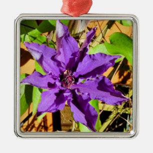 ORNEMENT CARRÉ ARGENTÉ CLEMATIS