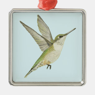 Ornement Carré Argenté Colibri