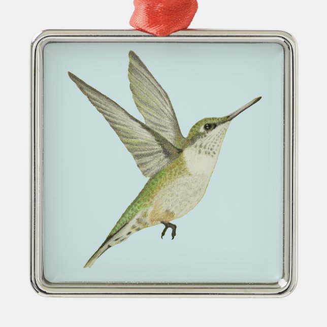 Ornement Carré Argenté Colibri (Devant)