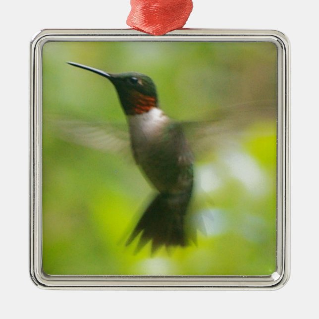 Ornement Carré Argenté Colibri (Devant)