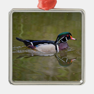 Ornement Carré Argenté Colorful wood duck