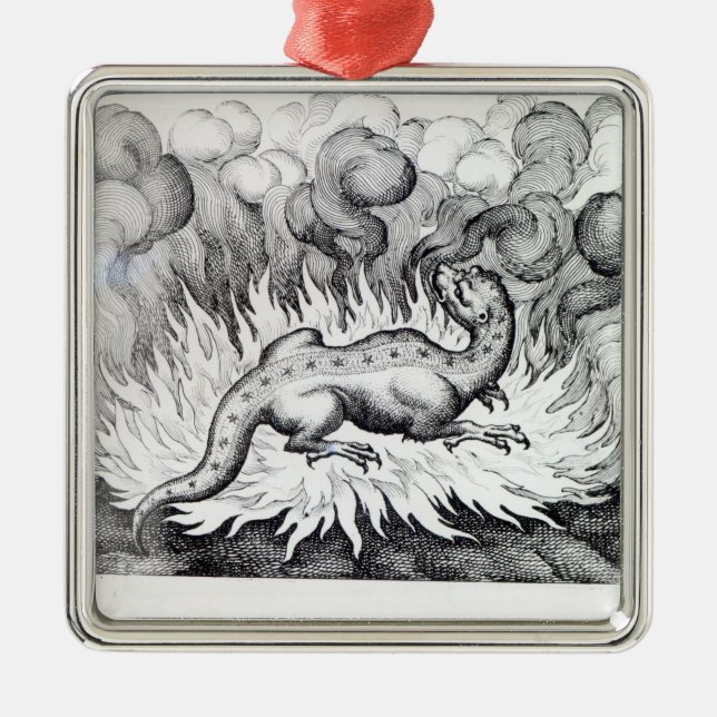 Ornement Carré Argenté Comme vies de salamandre en feu (Devant)