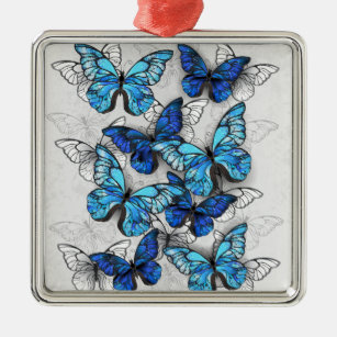Ornement Carré Argenté Composition des papillons blancs et bleus