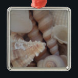 Ornement Carré Argenté Coquillages d'été ensoleillés, Sea Shell Beach Lov<br><div class="desc">Coquillages d'été ensoleillés,  Sea Shell Beach Love</div>