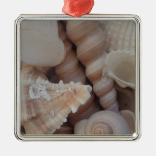 Ornement Carré Argenté Coquillages d'été ensoleillés, Sea Shell Beach Lov