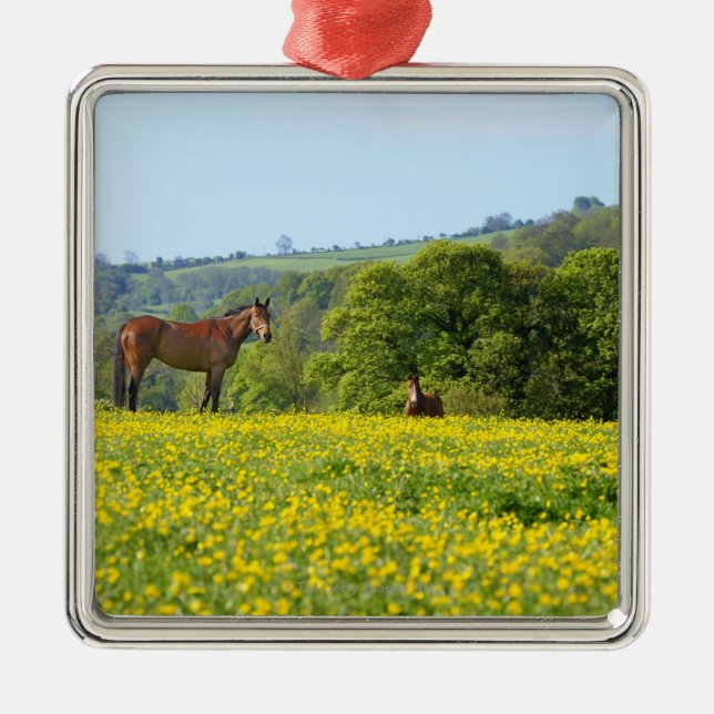 Ornement Carré Argenté Cotswolds, R-U (Devant)