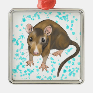 Ornement Carré Argenté Couleur pour aquarelle de rat