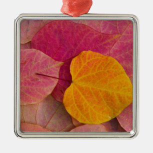 Ornement Carré Argenté Couleurs d'automne sur feuilles tombées de Forest