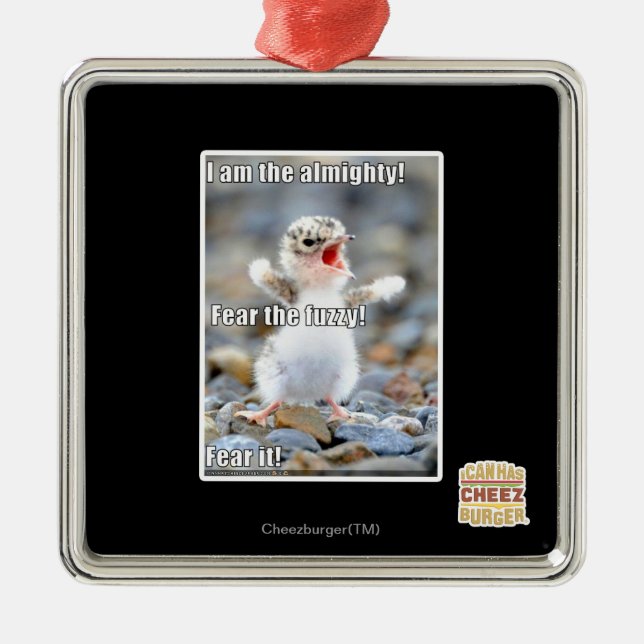 Ornement Carré Argenté Craignez le brouillé ! (Devant)