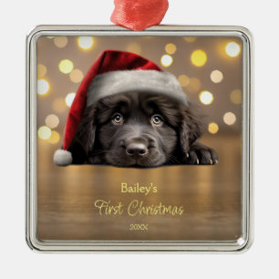 Ornement Carré Argenté Cute Newfoundland Chien Santa Hat Personnalisé