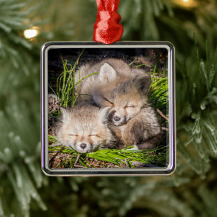 Ornement Carré Argenté Cutest Baby Animals Baby Red Fox Kits Sleeping
