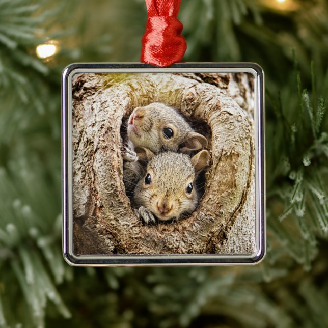 Ornement Carré Argenté Cutest Baby Animals | Curious Baby Squirrels (Arbre)