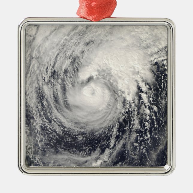 Ornement Carré Argenté Dauphin du typhon dans la mer des Philippines (Devant)