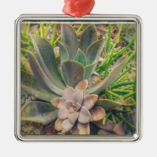 Ornement Carré Argenté De jolis Plantes