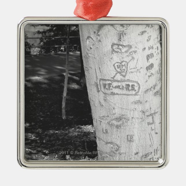 Ornement Carré Argenté Découpage sur le tronc d'arbre de bouleau B&W (Devant)