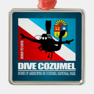 Ornement Carré Argenté Dive Cozumel DF2
