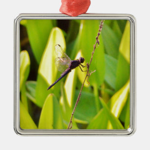 Ornement Carré Argenté Dragonfly Blue et noir sur l'herbe.
