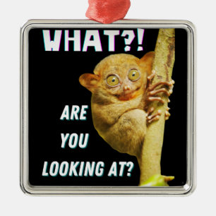 Ornement Carré Argenté Drôle Big Eyed Tarsier Ce que vous regardez