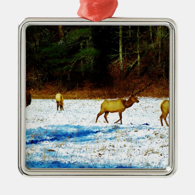 ORNEMENT CARRÉ ARGENTÉ DSC00131.JPG (Devant)