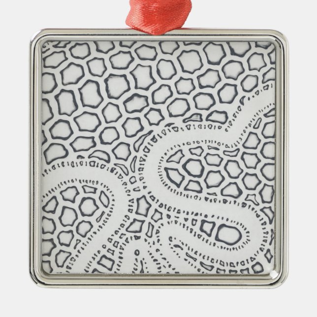 Ornement Carré Argenté Échelle de serpent noir et blanc (Devant)