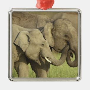 Ornement Carré Argenté Éléphants asiatiques indiens