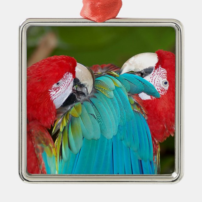 Ornement Carré Argenté Empreinte de perroquet macaw rouge et bleu (Devant)