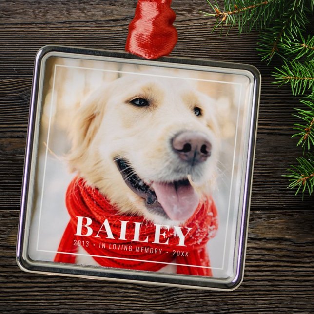 Ornement Carré Argenté En Mémoire Amoureuse Pet Memorial Photo encadrée (Créateur téléchargé)