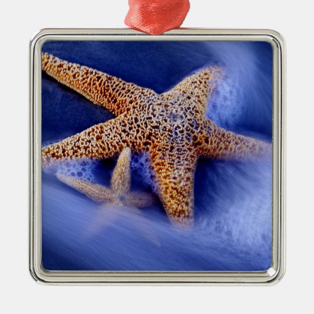 Ornement Carré Argenté États-Unis, Caroline du Sud, Hilton Head Island.De (Devant)